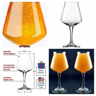 TechGuySteve-Favorite-Beer-Glass